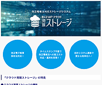 発展ストレージ