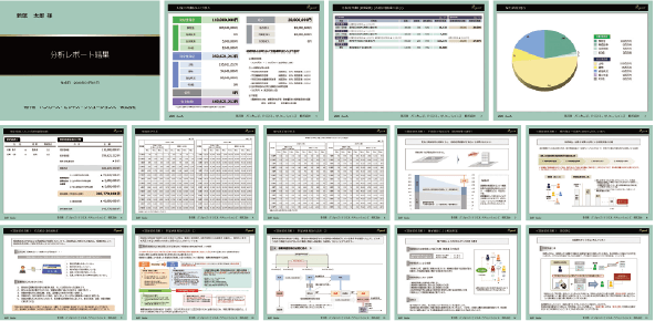 100種類以上の税務資料を搭載情報提供資料（DPシステム）レポート